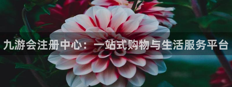 壹号电子娱乐app：九游会注册中心：一站式购物与生活服务平台