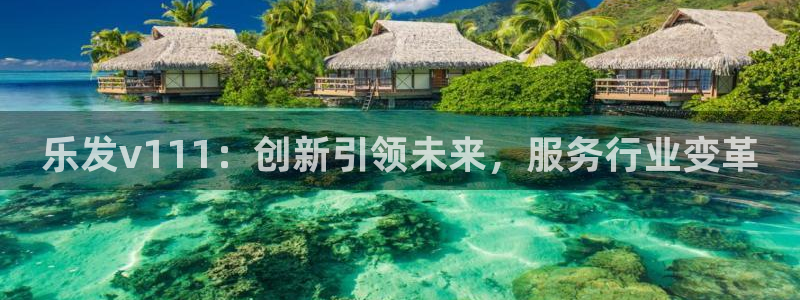 门徒娱乐app：乐发v111：创新引领未来，服务行业变革