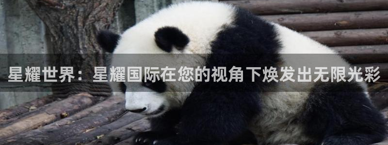 门徒娱乐app下载安装：星耀世界：星耀国际在您的视角下焕发出无限光彩