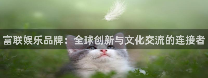 门徒娱乐app下载地址：富联娱乐品牌：全球创新与文化交流的连接者