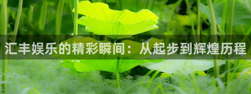 门徒娱乐网址：汇丰娱乐的精彩瞬间：从起步到辉煌历程