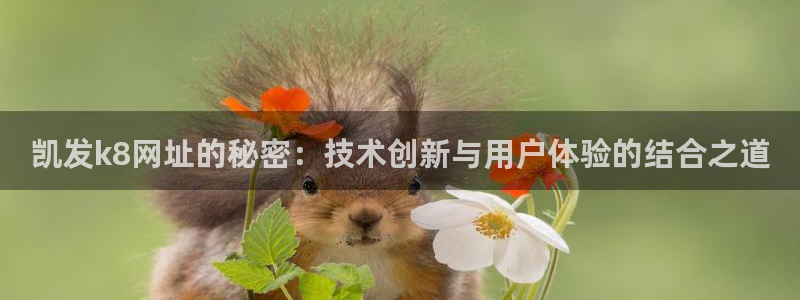 门徒娱乐平台管网入口：凯发k8网址的秘密：技术创新与用户体验的结合之道