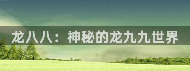 门徒在线登录注册网址：龙八八：神秘的龙九九世界