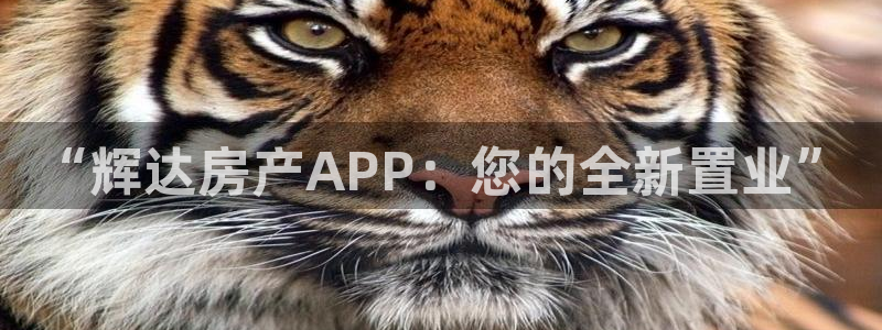 门徒娱乐登录注册：“辉达房产APP：您的全新置业”