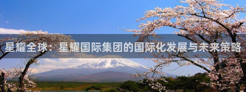门徒娱乐电子游戏：星耀全球：星耀国际集团的国际化发展与未来策略