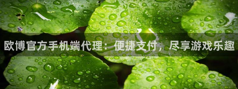 门徒娱乐娱乐：欧博官方手机端代理：便捷支付，尽享游戏乐趣
