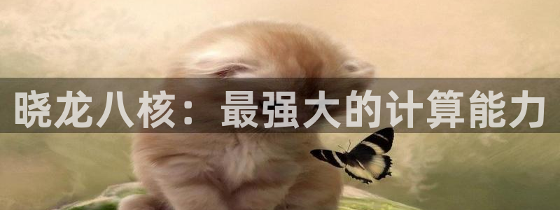 壹号大舞台：晓龙八核：最强大的计算能力