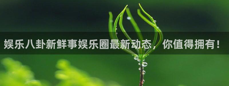 门徒平台网站：娱乐八卦新鲜事娱乐圈最新动态，你值得拥有！