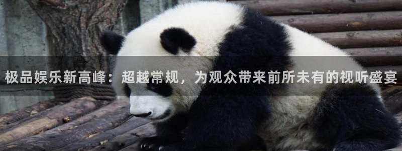 门徒娱乐加拿大app预测：极品娱乐新高峰：超越常规，为观众带来前所未有的视听盛宴