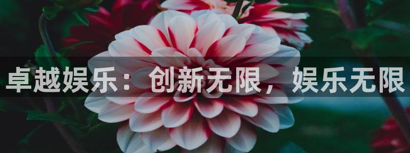 门徒娱乐是正规平台吗：卓越娱乐：创新无限，娱乐无限