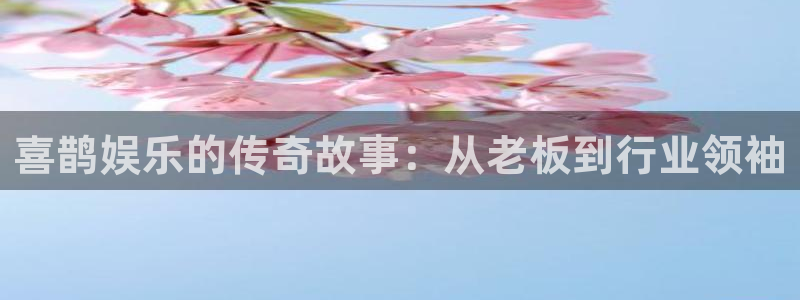 门徒娱乐网站：喜鹊娱乐的传奇故事：从老板到行业领袖