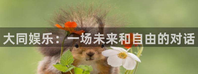 壹号电子娱乐app下载安装：大同娱乐：一场未来和自由的对话