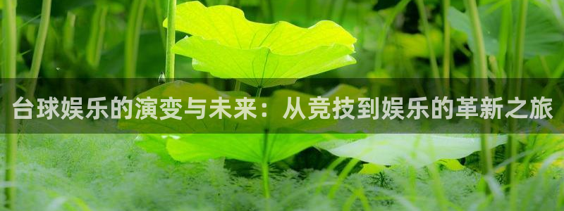 壹号电子娱乐app下载安装最新版本：台球娱乐的演变与未来：从竞技到娱乐的革新之旅