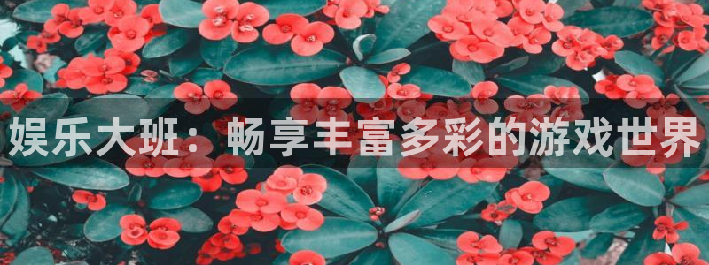 门徒娱乐.com：娱乐大班：畅享丰富多彩的游戏世界