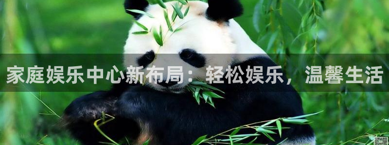 壹号top娱乐：家庭娱乐中心新布局：轻松娱乐，温馨生活