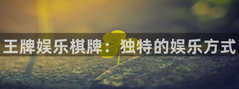 门徒娱乐加拿大：王牌娱乐棋牌：独特的娱乐方式