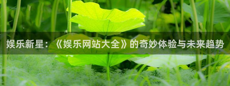 壹号平台app下载安装：娱乐新星：《娱乐网站大全》的奇妙体验与未来趋势