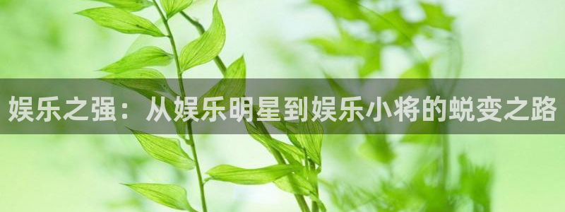 门徒娱乐登录中心官网：娱乐之强：从娱乐明星到娱乐小将的蜕变之路