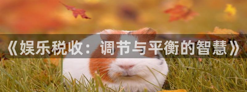 门徒娱乐app：《娱乐税收：调节与平衡的智慧》