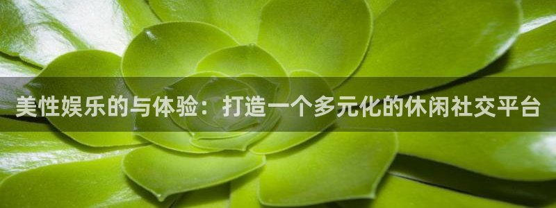 门徒娱乐官网版下载链接：美性娱乐的与体验：打造一个多元化的休闲社交平台