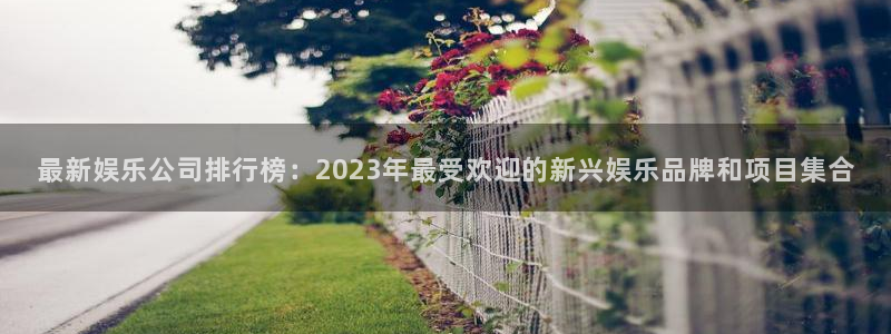 门徒娱乐,apk.1：最新娱乐公司排行榜：2023年最受欢迎的新兴娱乐品牌和项目集合