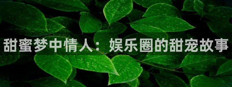 门徒娱乐app入口：甜蜜梦中情人：娱乐圈的甜宠故事