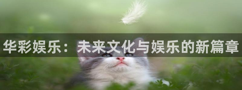 壹号大舞台下载链接：华彩娱乐：未来文化与娱乐的新篇章