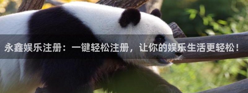 壹号电子娱乐app下载：永鑫娱乐注册：一键轻松注册，让你的娱乐生活更轻松！